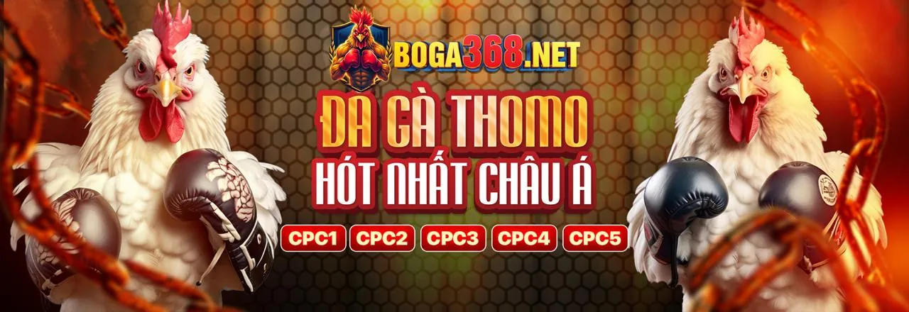 Tin tức SHBET65 2026